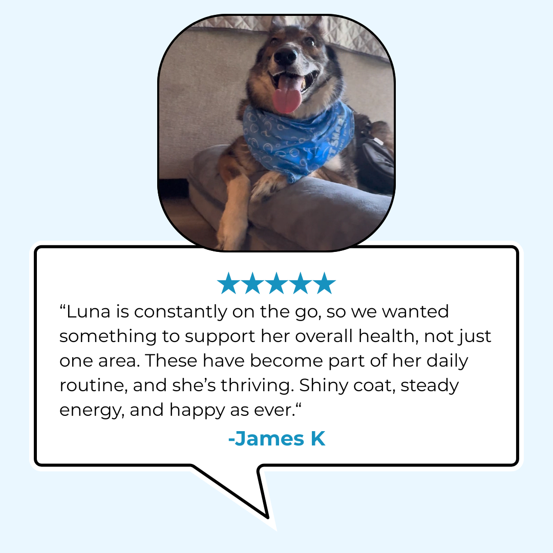 17-in-1 Multivitamin