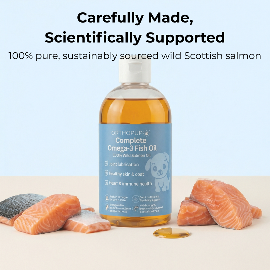Omega 3 Fish Oil