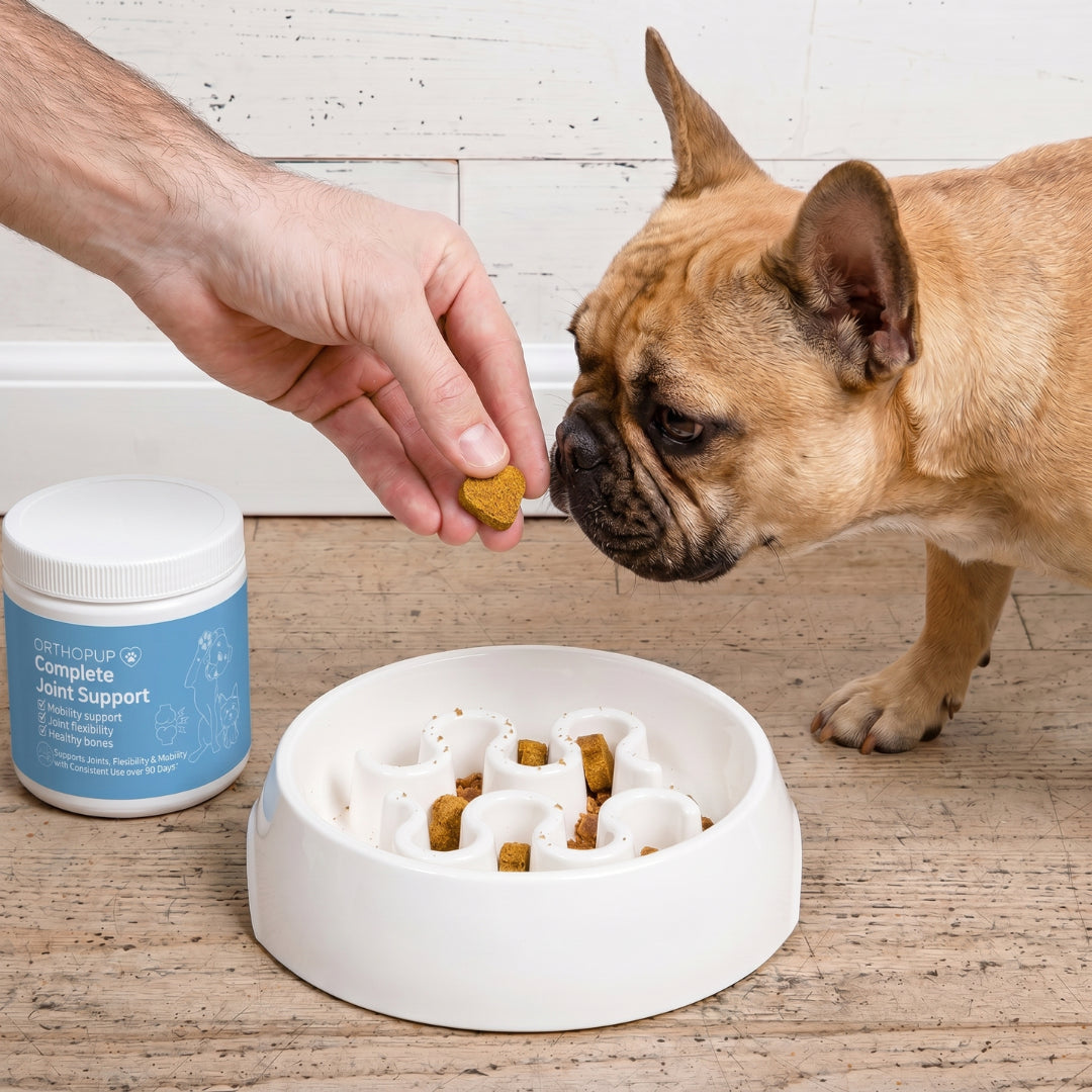 Complete Joint Support Chews