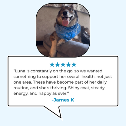 17-in-1 Multivitamin