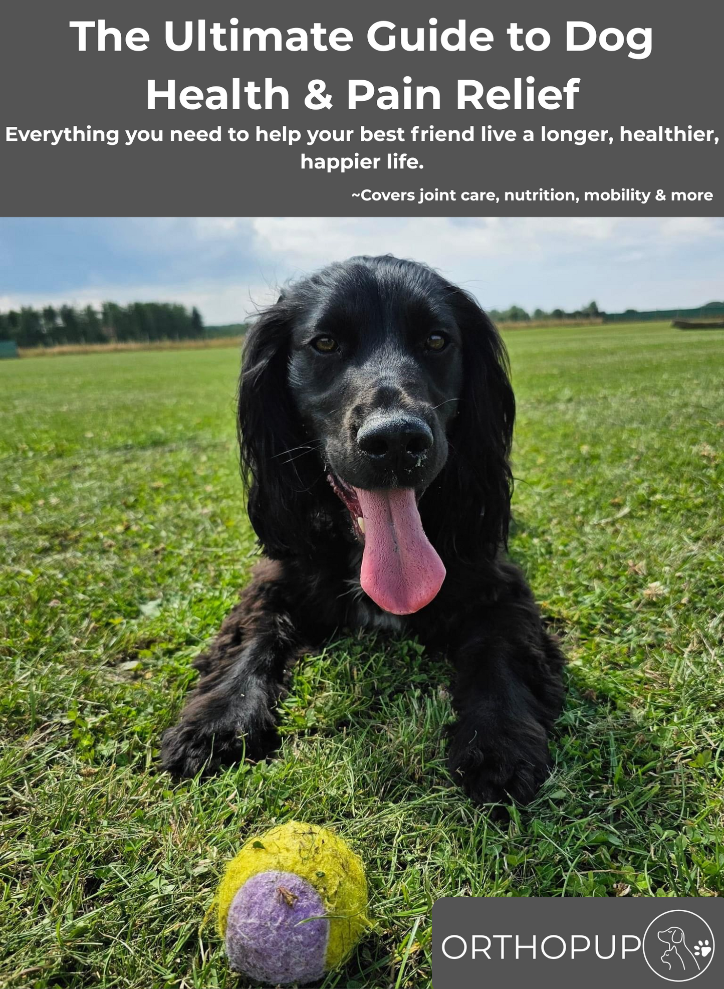 Dog Health Exposed eBook