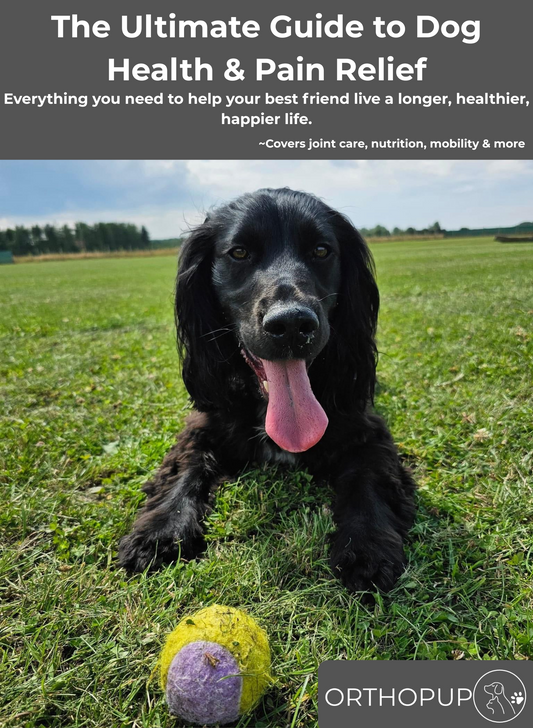 Dog Health Exposed eBook