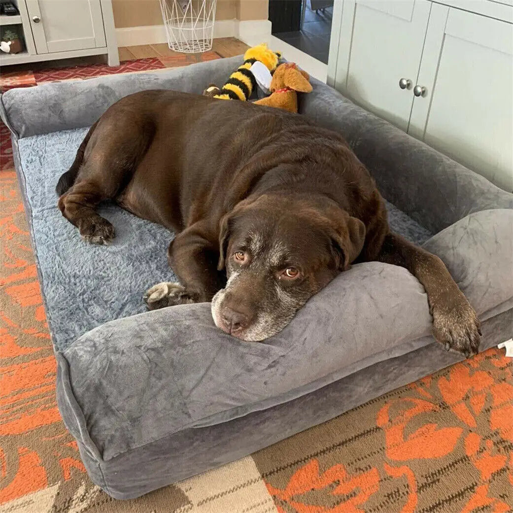 The Sofa - Vet Approved Orthopedic Comfort For Every Dog