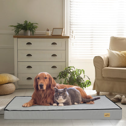 The Brick - Vet Approved Orthopedic Comfort For Every Dog