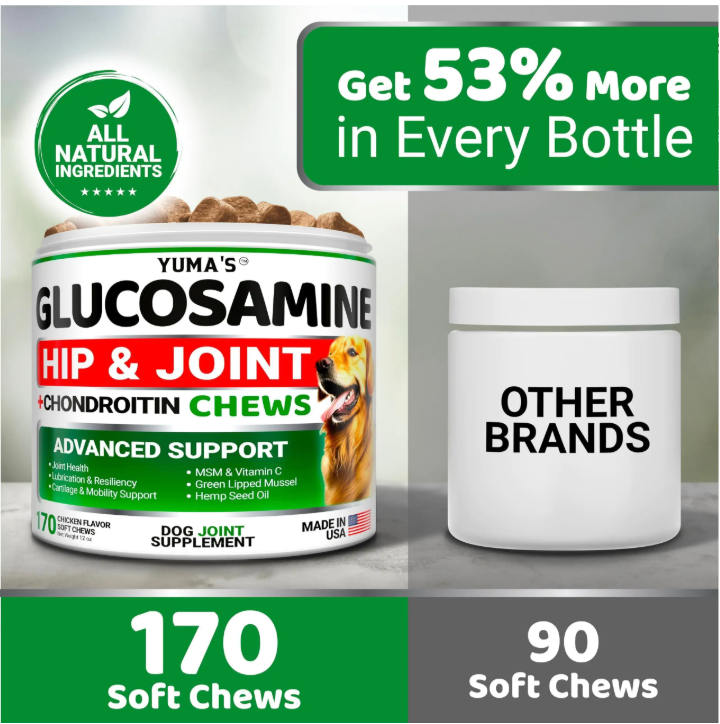 Advanced Hip & Joint Support Chews