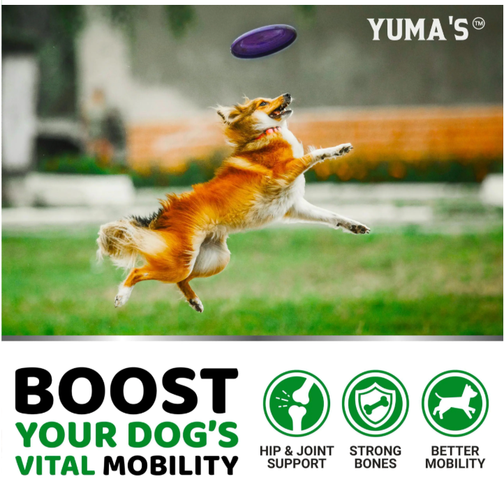 Advanced Hip & Joint Support Chews