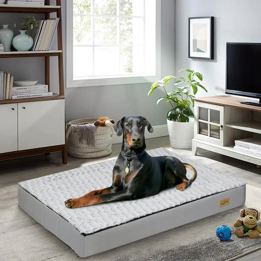 The Brick - Vet Approved Orthopedic Comfort For Every Dog