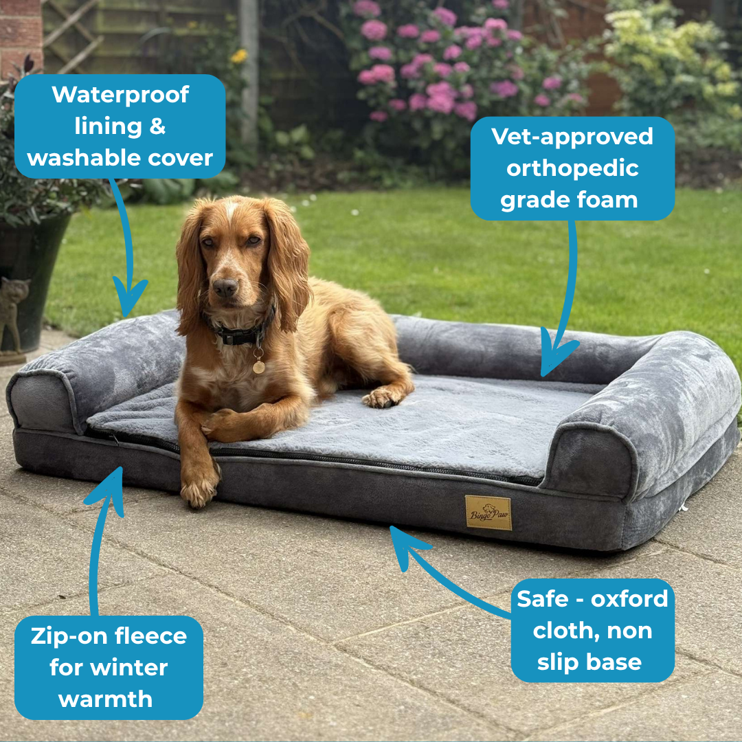 The Sofa - Vet Approved Comfort That Eases Joint Pain