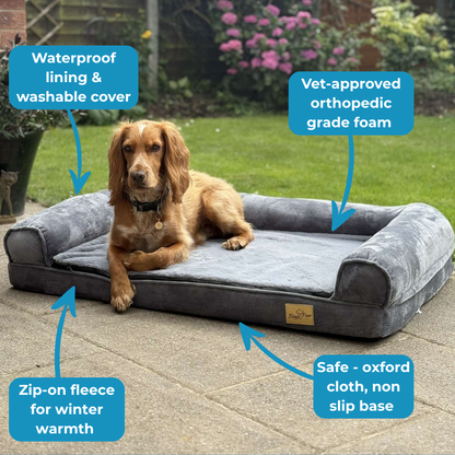 The Sofa - Vet Approved Comfort That Eases Joint Pain