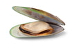 Green-Lipped Mussels
