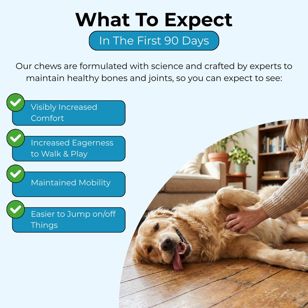 Complete Joint Support