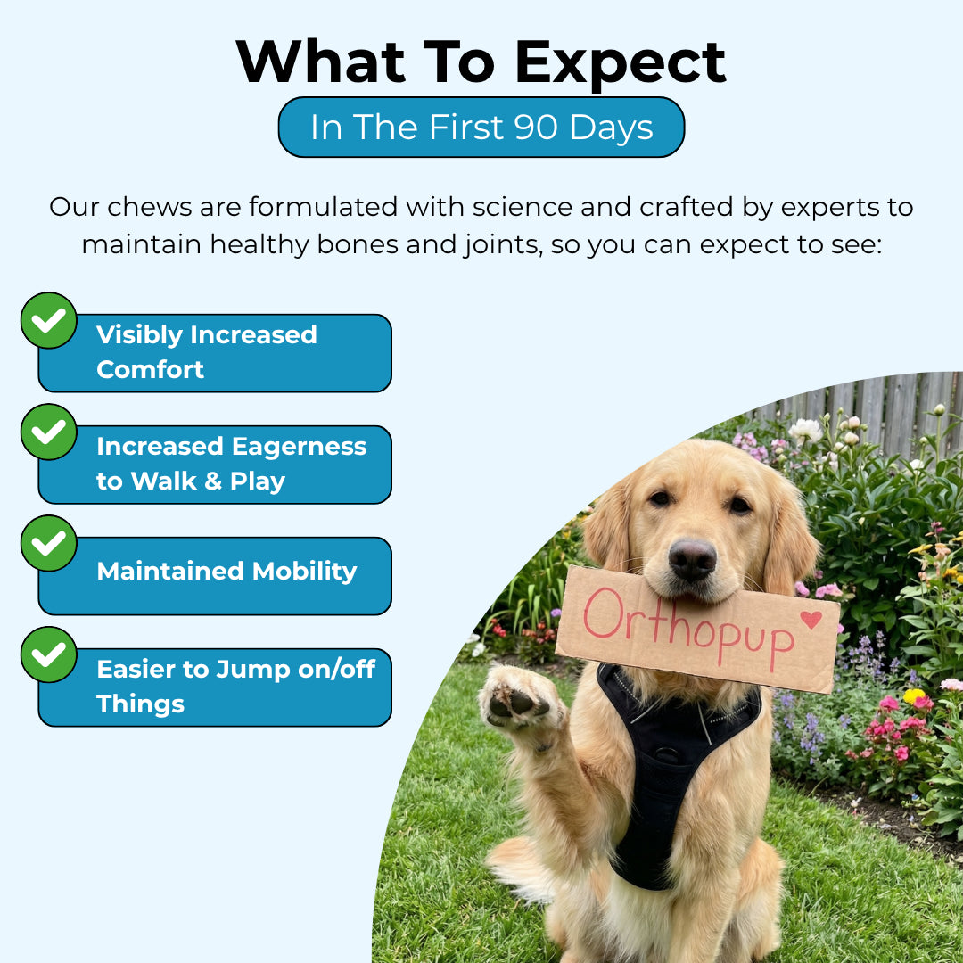 Complete Joint Support Chews
