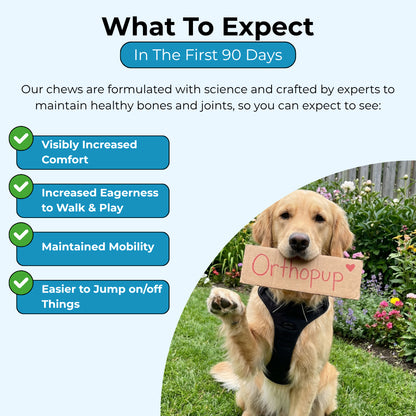 Complete Joint Support Chews