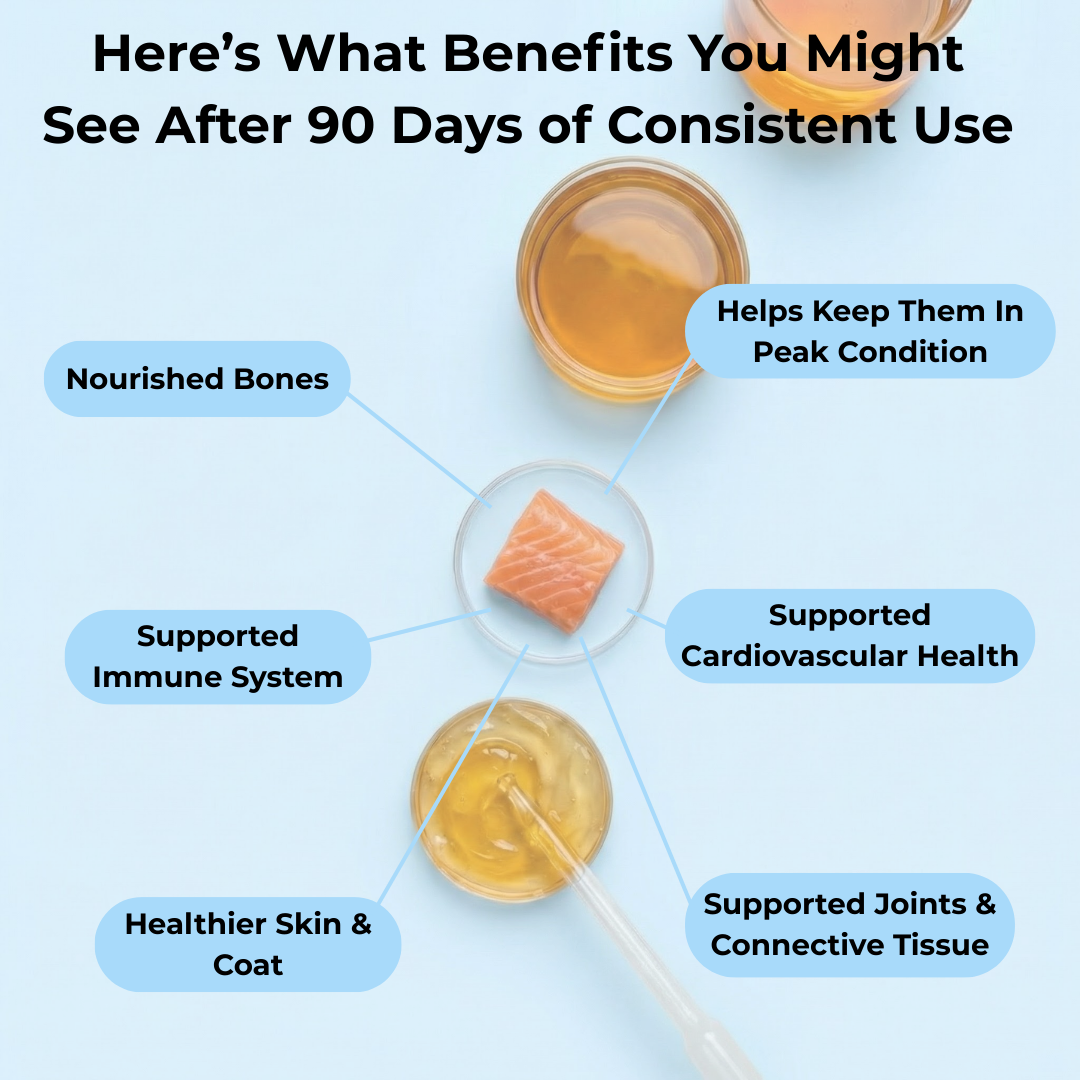 Omega 3 Fish Oil