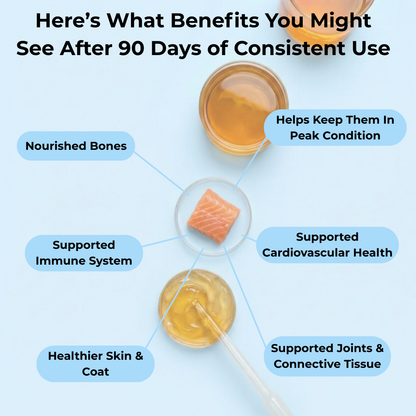 Omega 3 Fish Oil