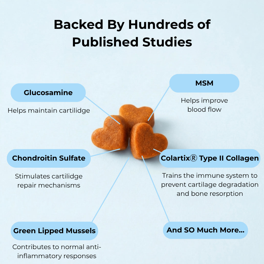 Complete Joint Support Chews