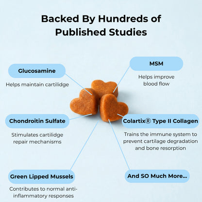 Complete Joint Support Chews