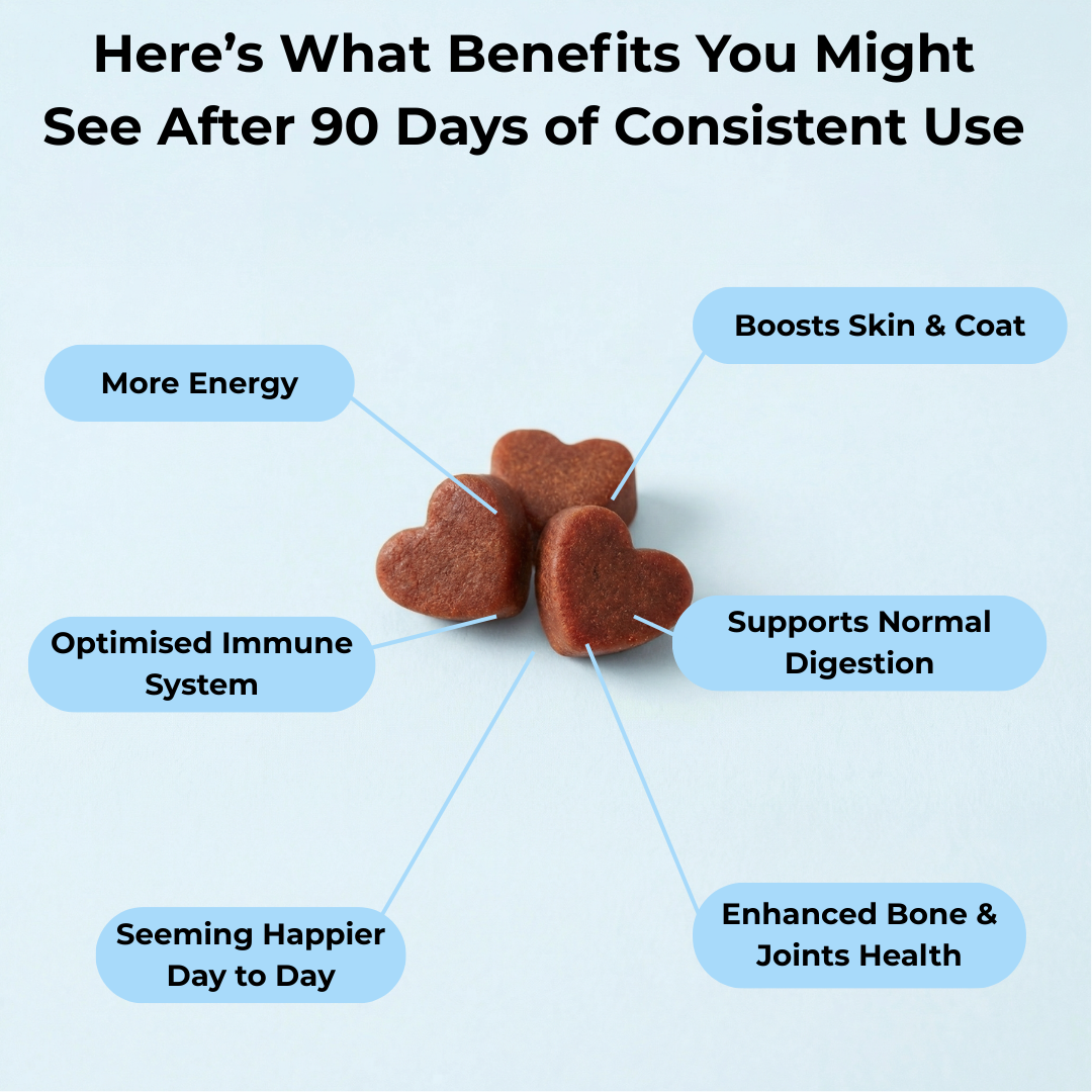 17-in-1 Multivitamin