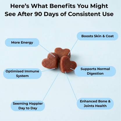 17-in-1 Multivitamin