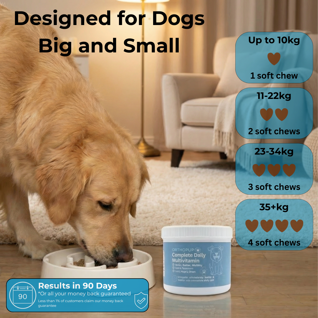 17-in-1 Multivitamin