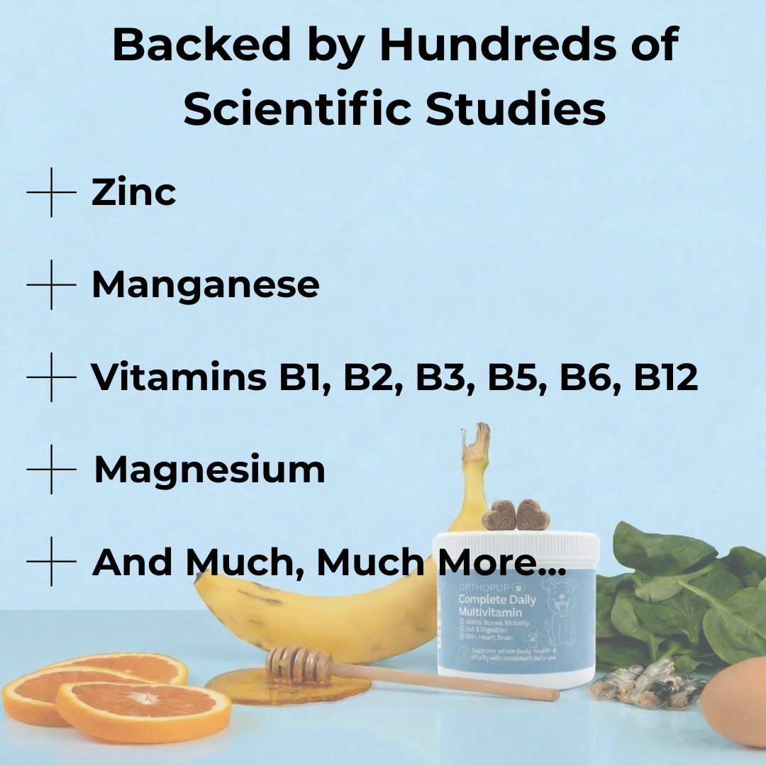 17-in-1 Multivitamin