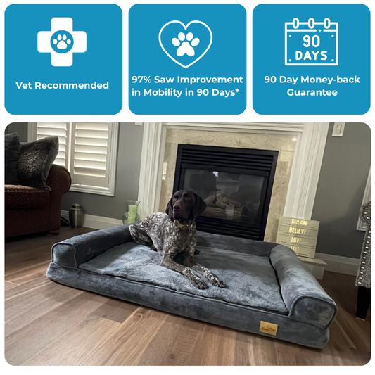 The Sofa - Vet Approved Orthopedic Comfort For Every Dog