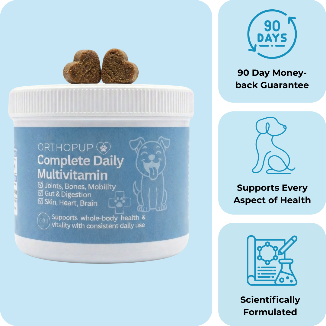 17-in-1 Multivitamin