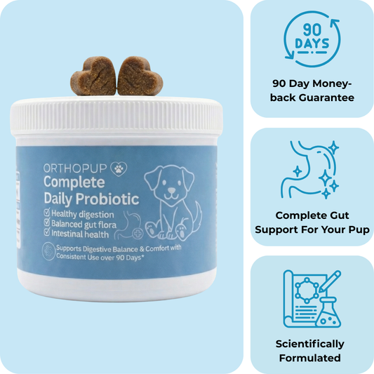 Daily Probiotic