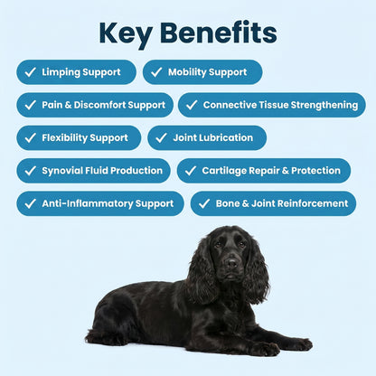 Complete Joint Support Chews