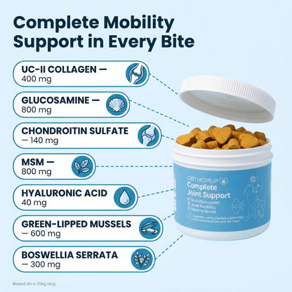 Complete Joint Support Chews