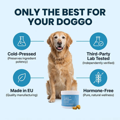 Complete Joint Support Chews