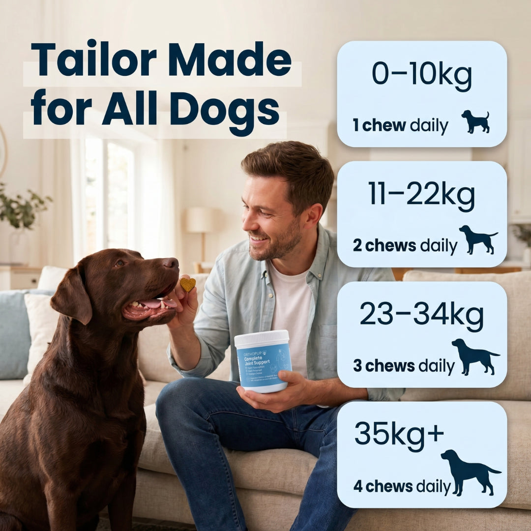 Complete Joint Support Chews