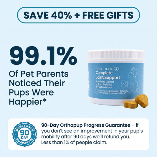 Complete Joint Support Chews