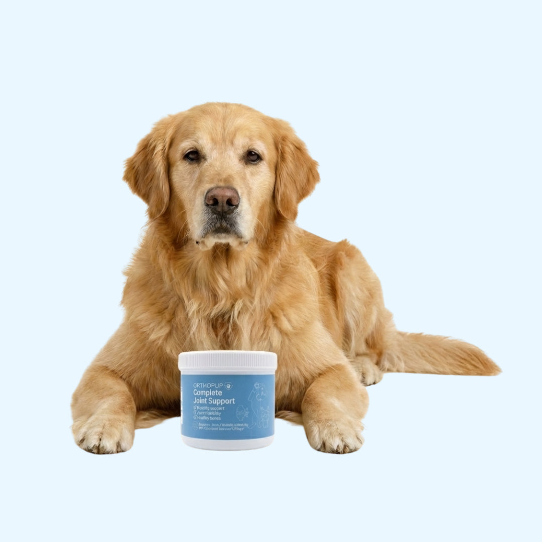5 Reasons Why Senior Dog Owners Add This Alongside Their Vet's Plan