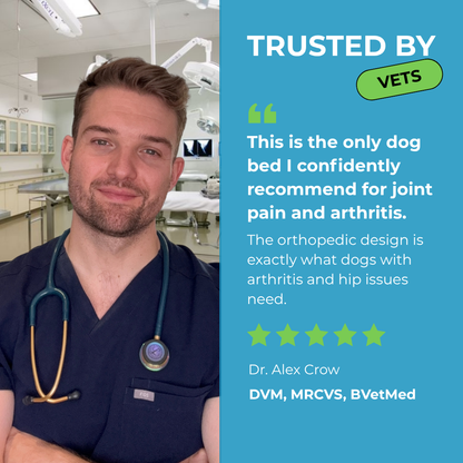 The Sofa - Vet Approved Comfort That Eases Joint Pain